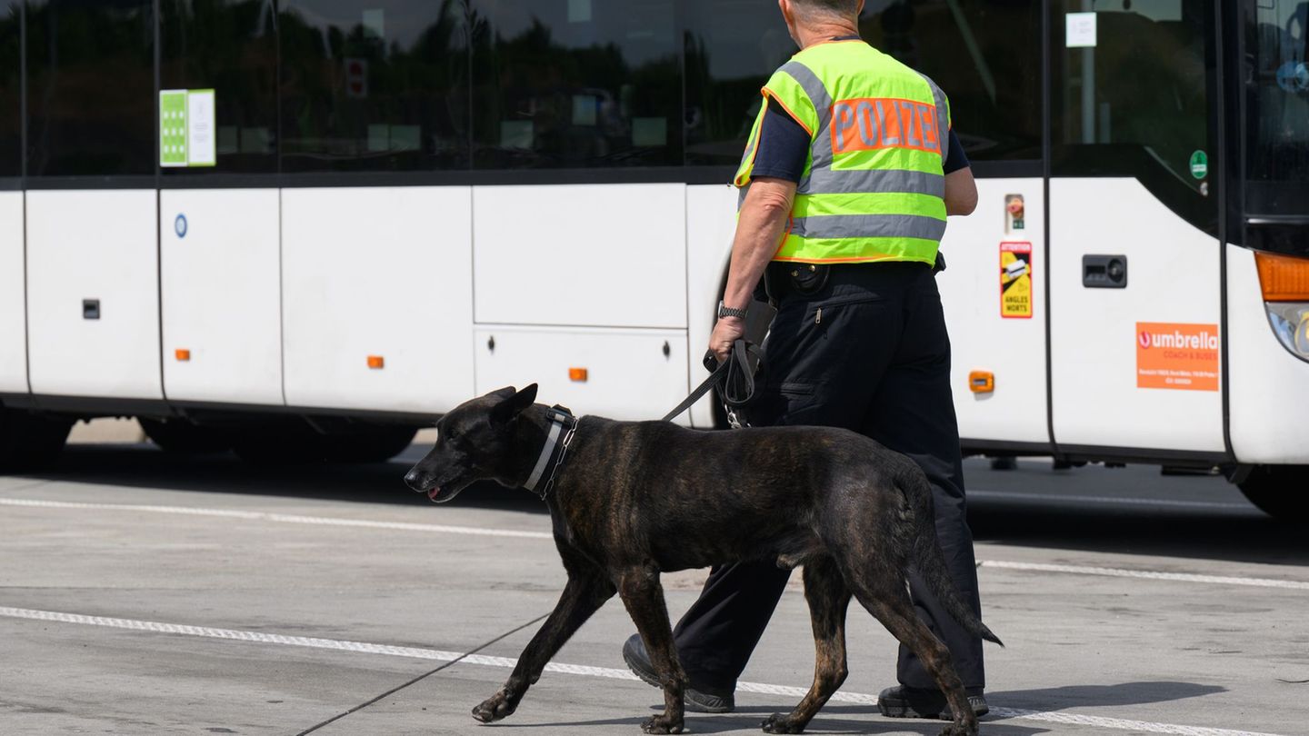 Drei Busse wurden kontrolliert. (Symbolbild) Foto: Robert Michael/dpa