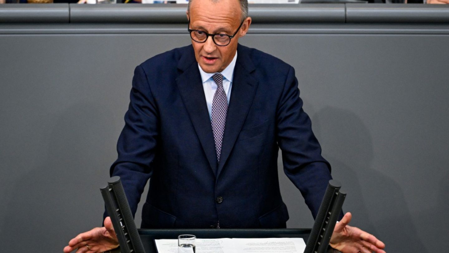 Merz am Mittwoch im Plenum