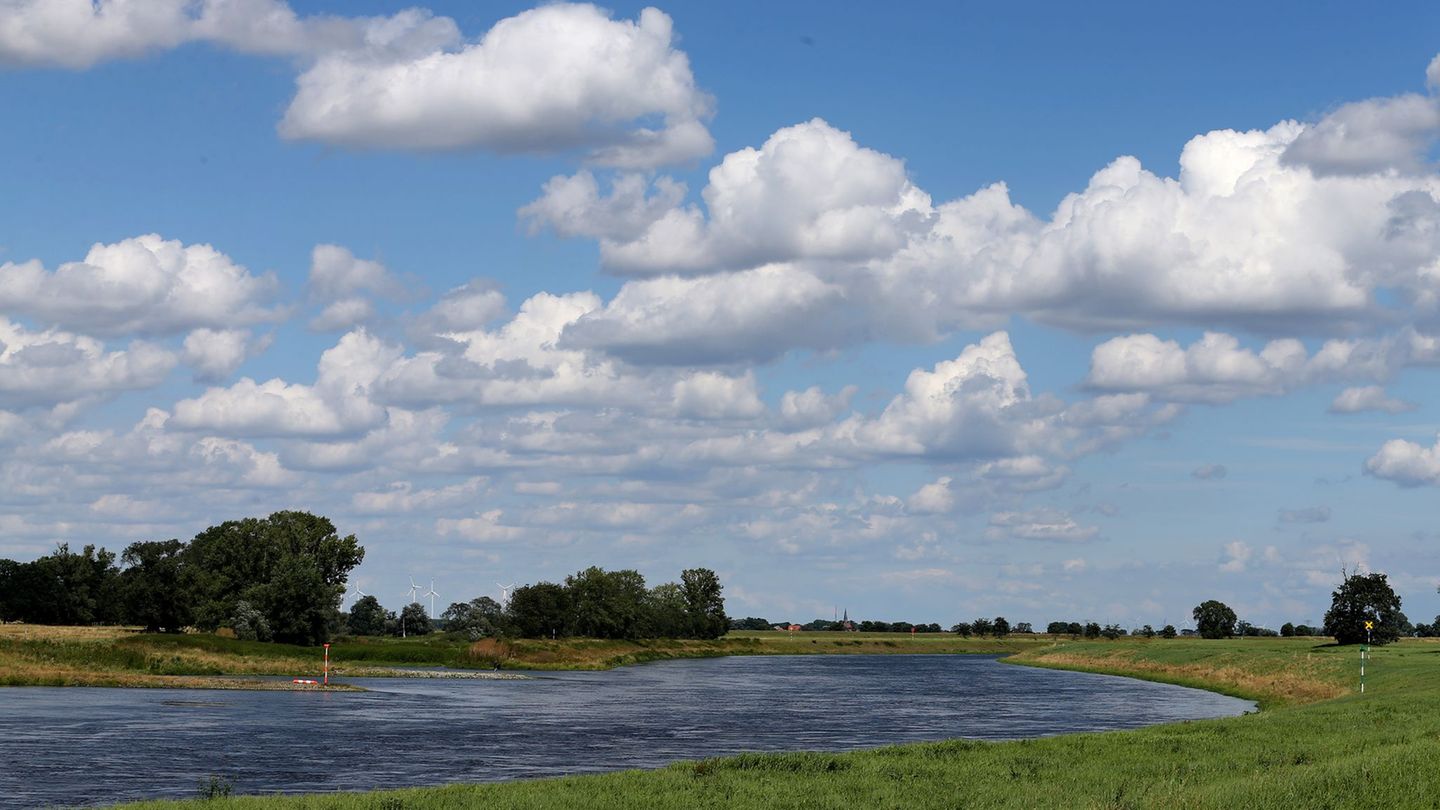 Der Hochwasserschutz für die Elbe in Nordsachsen soll durch die Maßnahmen verbessert werden. (Archivbild) Foto: picture alliance