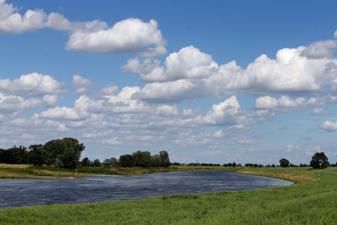 Der Hochwasserschutz für die Elbe in Nordsachsen soll durch die Maßnahmen verbessert werden. (Archivbild) Foto: picture alliance