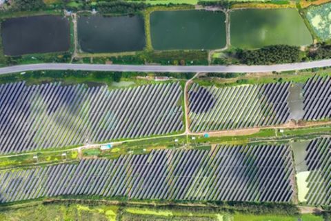 Gestreifte Landschaft