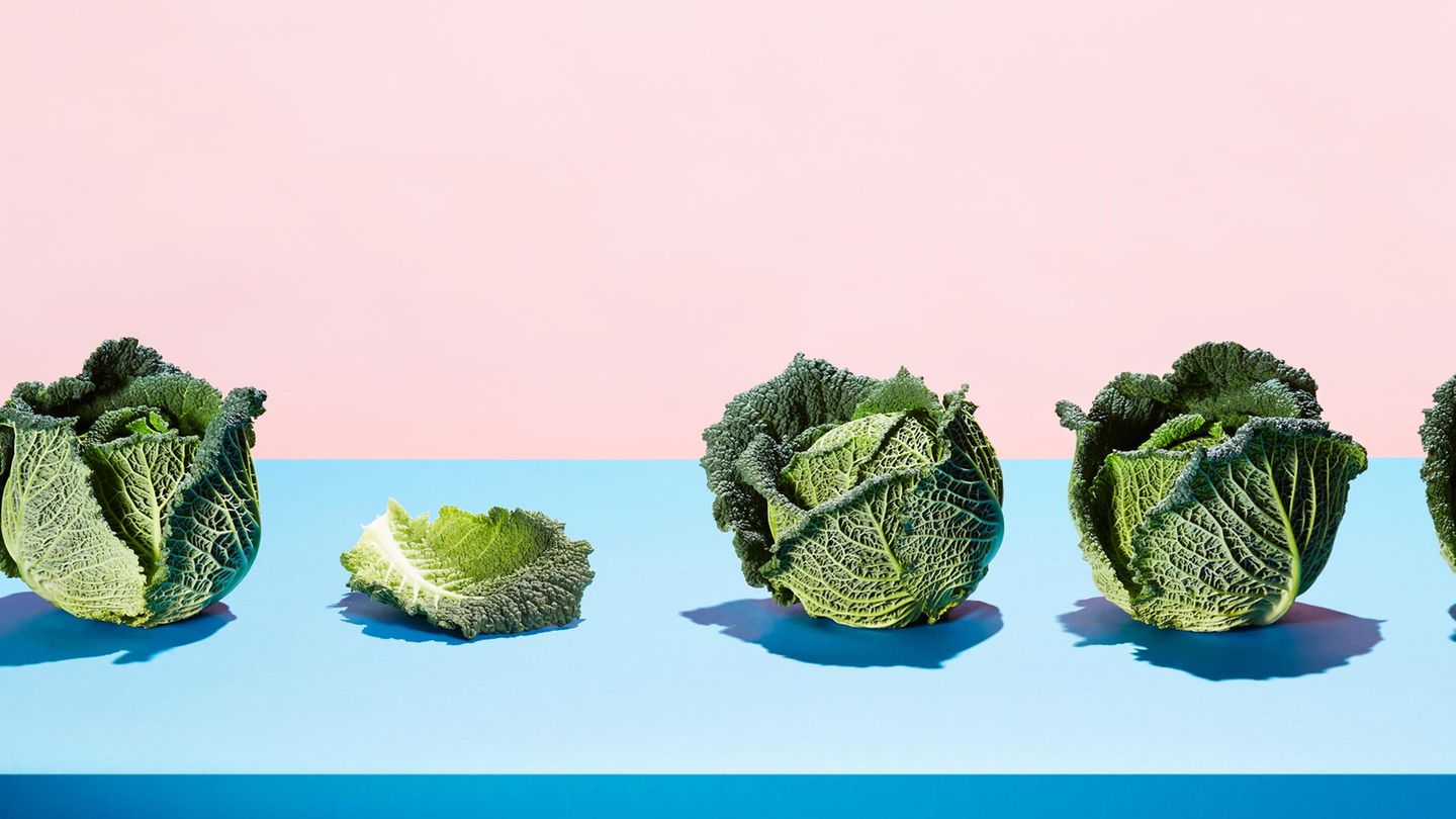 Superfood Kohl: Wirsing und Rosenkohl auf buntem Hintergrund