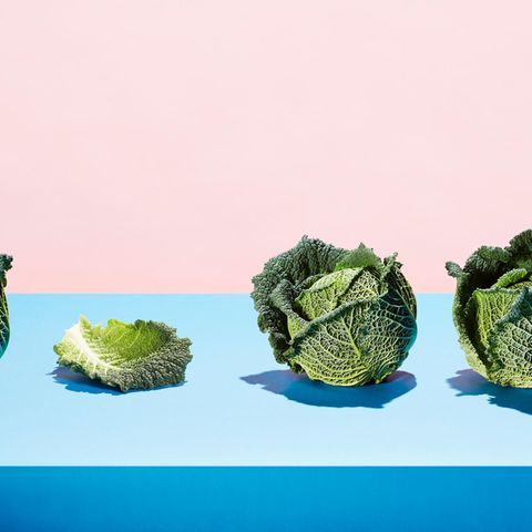 Superfood Kohl: Wirsing und Rosenkohl auf buntem Hintergrund