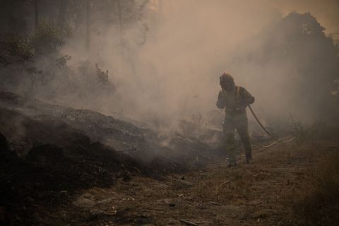 In Portugal wurde eine Fläche so groß wie das Saarland von den Flammen zerstört. (Archivbild) Foto: Elena Fernandez/ZUMA Press W