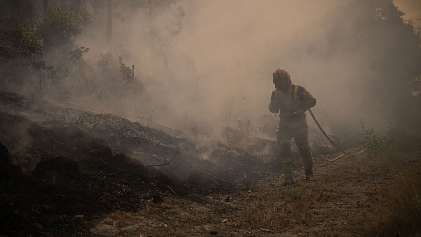 In Portugal wurde eine Fläche so groß wie das Saarland von den Flammen zerstört. (Archivbild) Foto: Elena Fernandez/ZUMA Press W