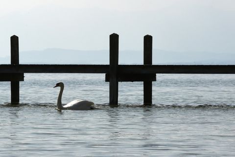 Starnberger See
