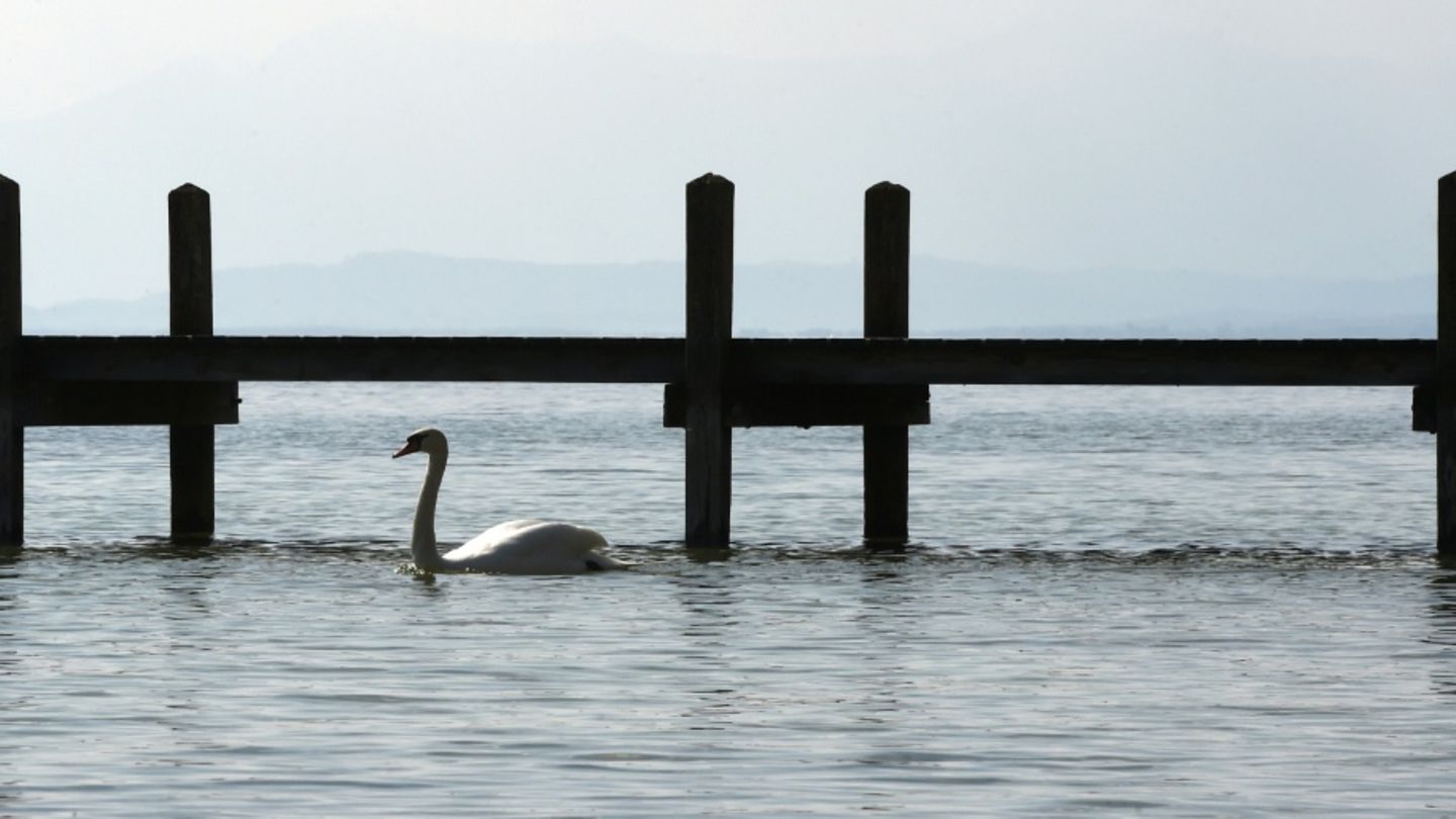 Starnberger See