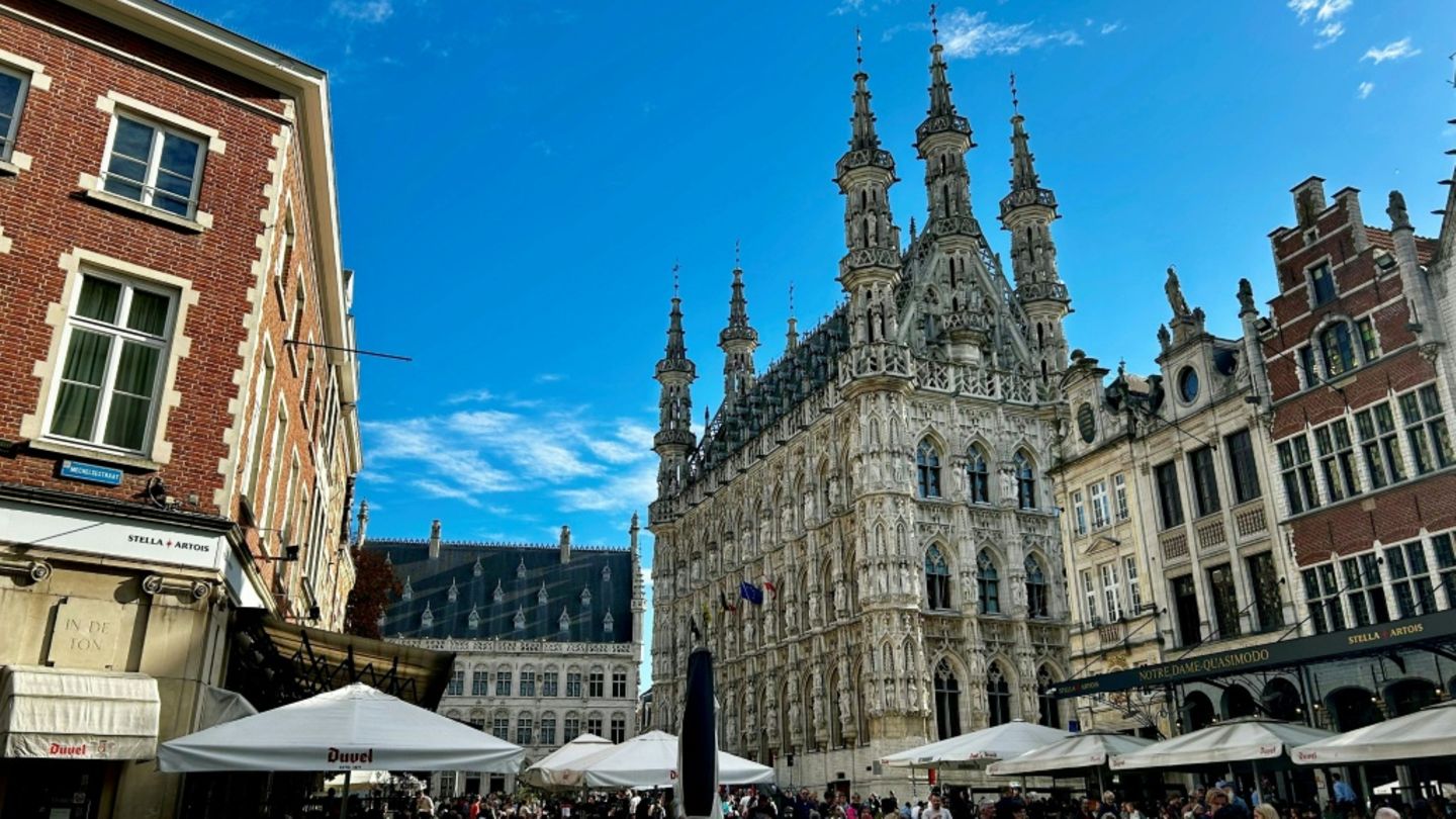 Der Große Markt in Löwen im Oktober 2024