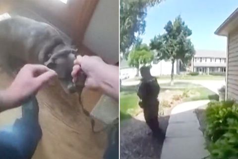 Polizist rettet Hund aus brennendem Haus – doch der möchte erstmal Gassi gehen