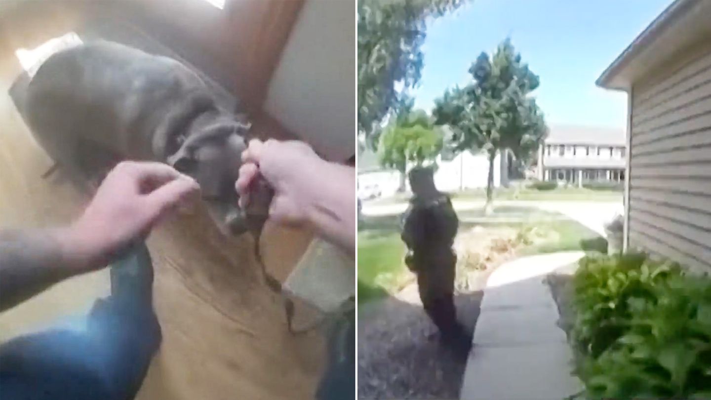 Dog leads police officer to leash in the middle of a house fire