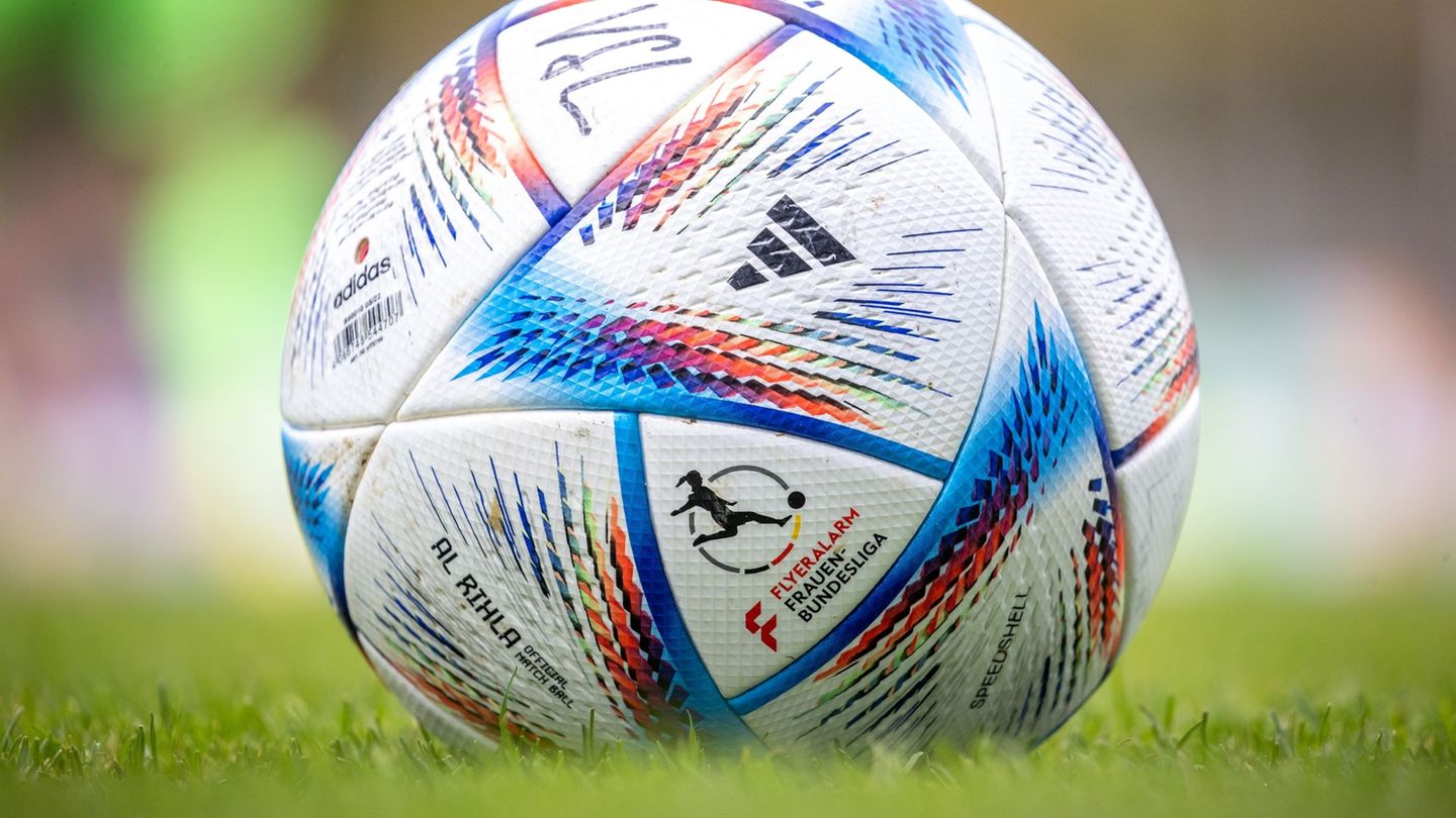 Für Brandenburgs Profi-Sportmannschaften läuft es durchwachsen. (Symbolbild) Foto: Andreas Gora/dpa