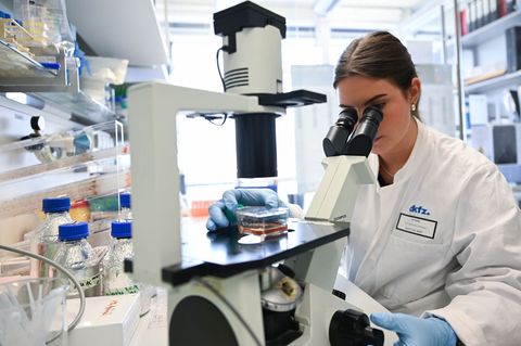 Eine Mitarbeiterin des Deutschen Krebsforschungszentrum bearbeitet in einem Labor unter dem Mikroskop eine Probe. Foto: Bernd We