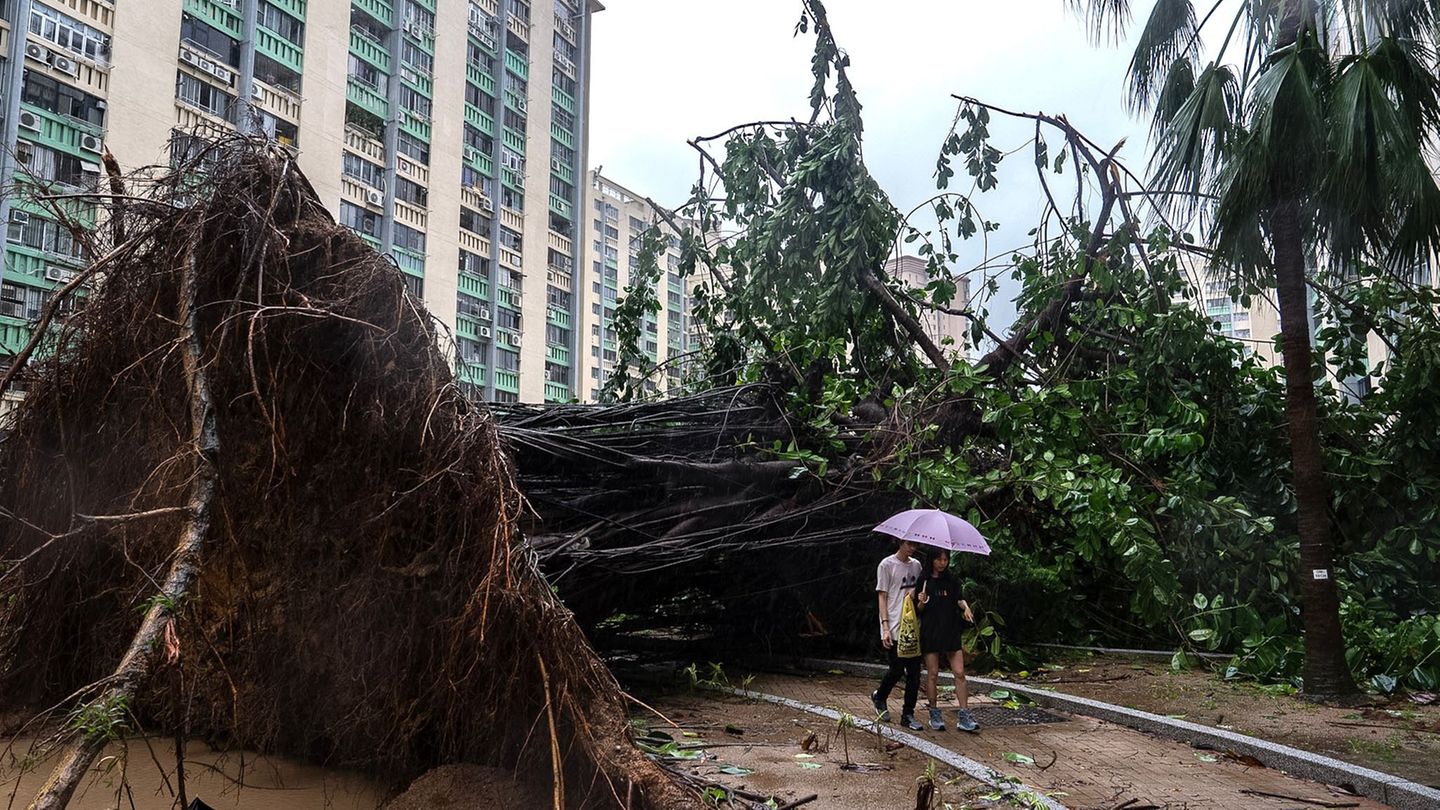 In Hongkong stürzten Hunderte Bäume um. Foto: Chan Long Hei/AP/dpa