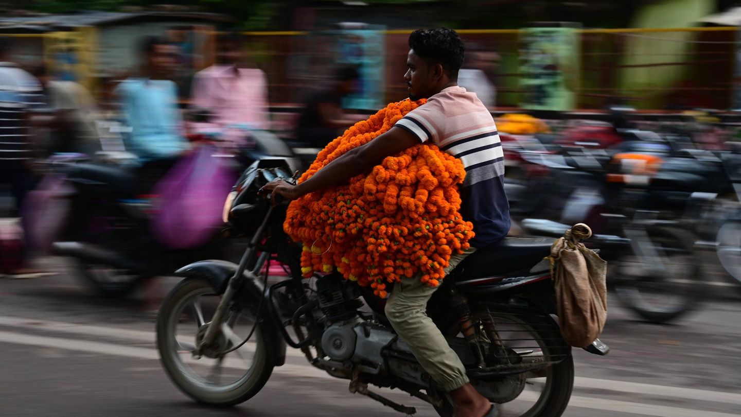 25. September: Flott und floral Prayagraj, Indien. Während des Navratri-Festivals verwandelt sich Prayagraj in ein Meer leuchtender Farben. Ein Mann fährt auf seinem Motorrad durch den lebhaften Markt und transportiert Blumengirlanden, die für das Fest bestimmt sind. Das Navratri-Festival ist eines der wichtigsten hinduistischen Feste und ehrt die Göttin Durga