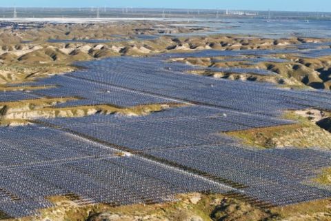 Solar-Wald