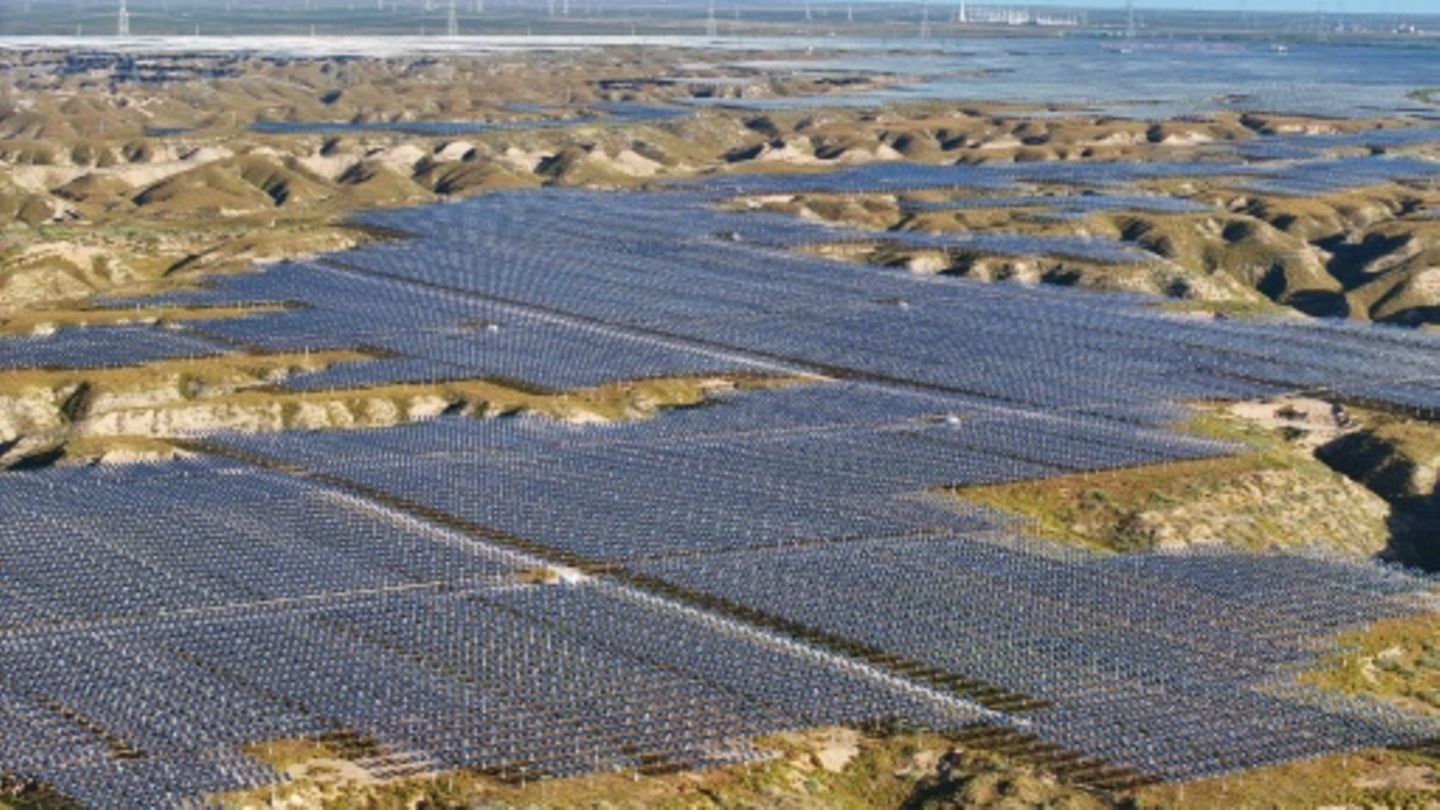 Solar-Wald
