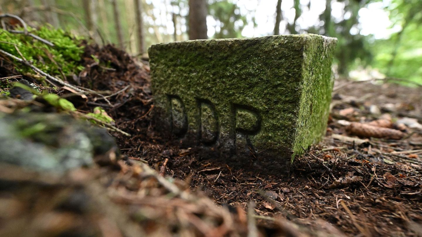 Ein Markstein erinnert an die frühere Grenze. (Archivbild) Foto: Martin Schutt/dpa