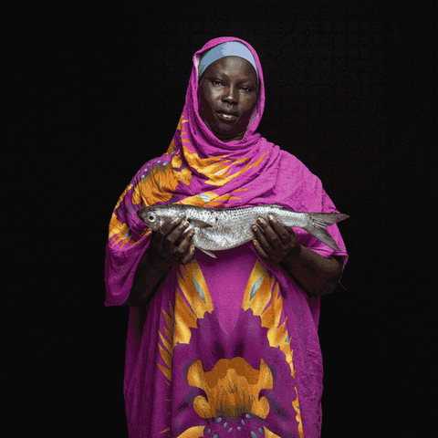 Eine Slideshow an Bildern aus dem Barschler-Projekt Eine Slideshow an Bildern aus dem Barschler-Projekt