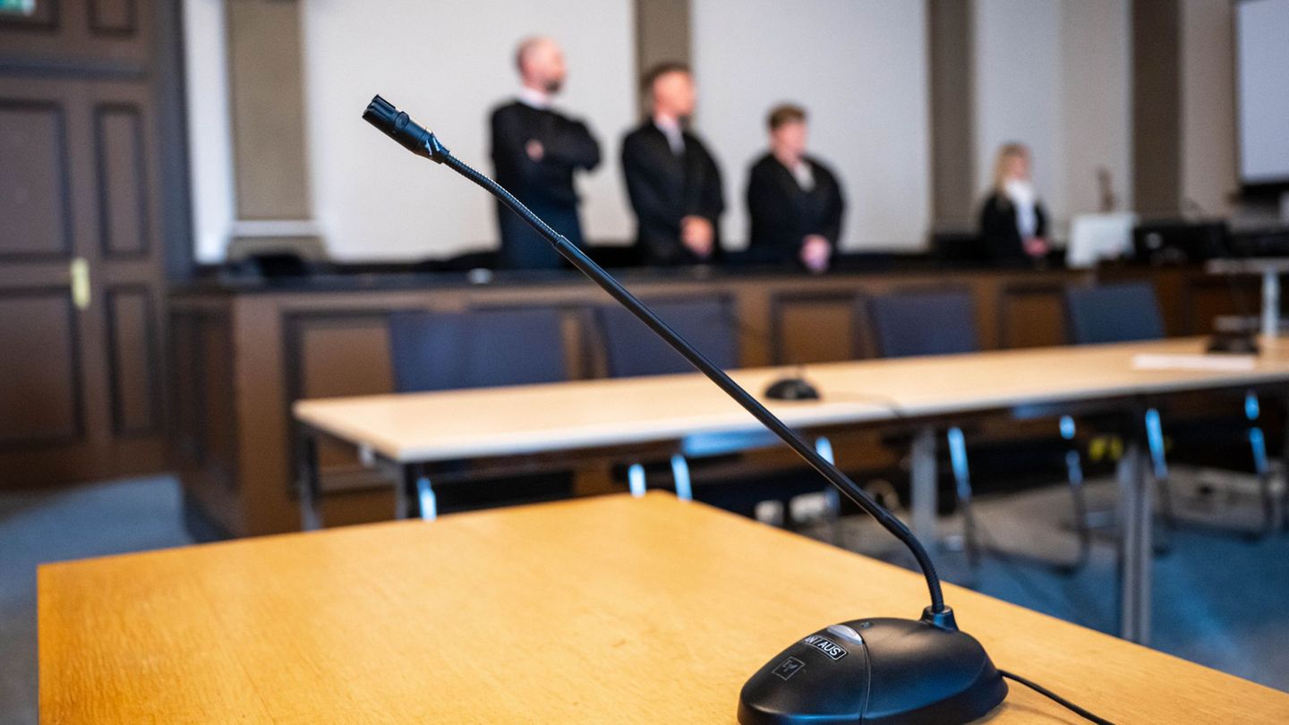 Zwei Angeklagte legten teilweise ein Geständnis ab. Foto: Sina Schuldt/dpa