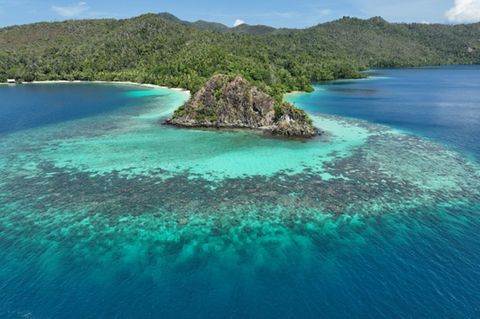 Raja Ampat liegt im sogenannten Korallendreieck