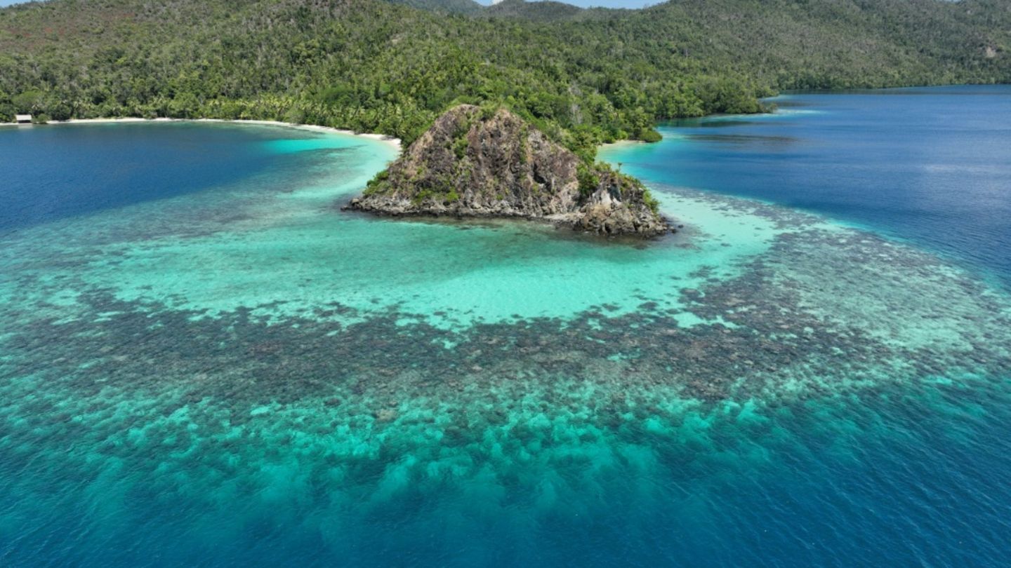 Raja Ampat liegt im sogenannten Korallendreieck