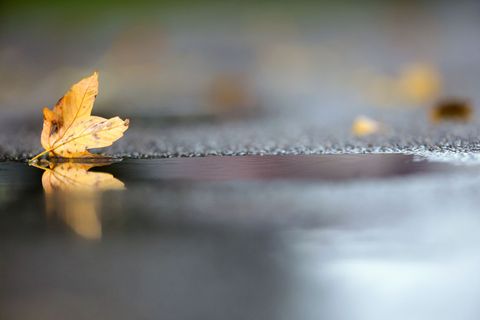 Noch hält sich die herbstliche Zweiteilung beim Wetter in Deutschland. (Archivbild) Foto: Thomas Warnack/dpa