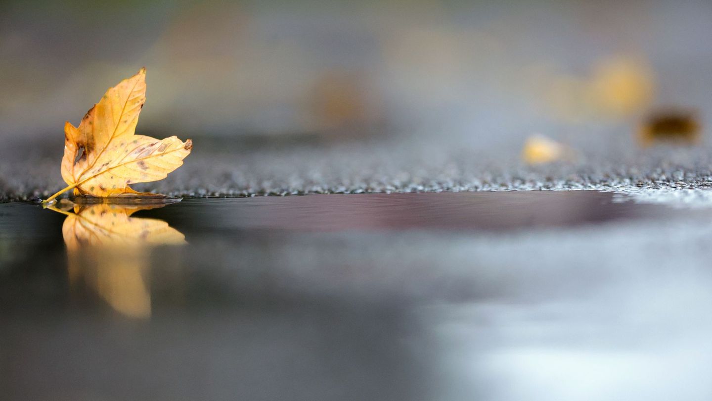 Noch hält sich die herbstliche Zweiteilung beim Wetter in Deutschland. (Archivbild) Foto: Thomas Warnack/dpa