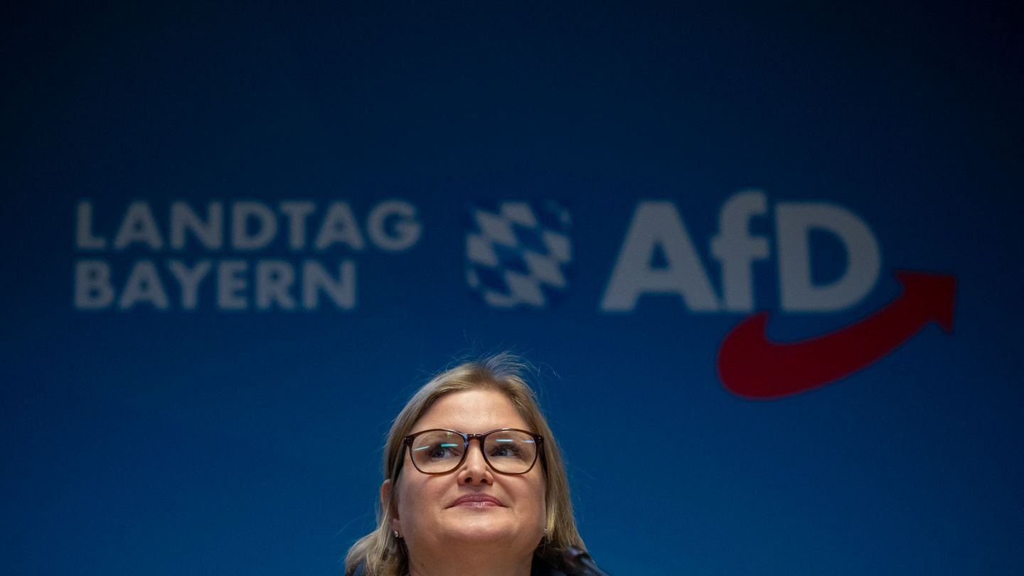 Die Landtags-AfD präsentiert nach ihrer Klausur ein ganzes Paket von Forderungen, insbesondere zum Thema Einbürgerungen. (Archiv