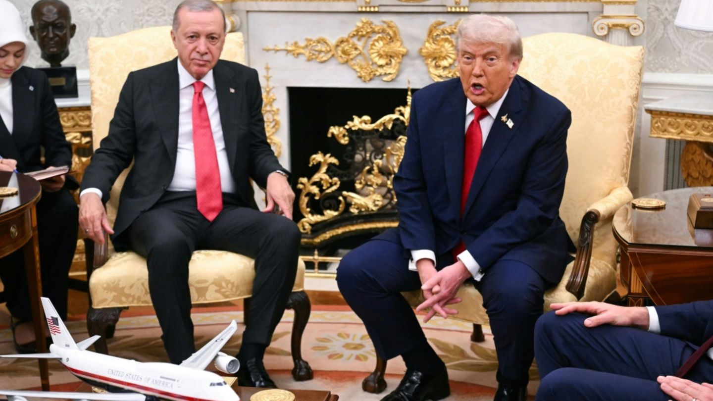 Erdogan (li.) und Trump im Weißen Haus