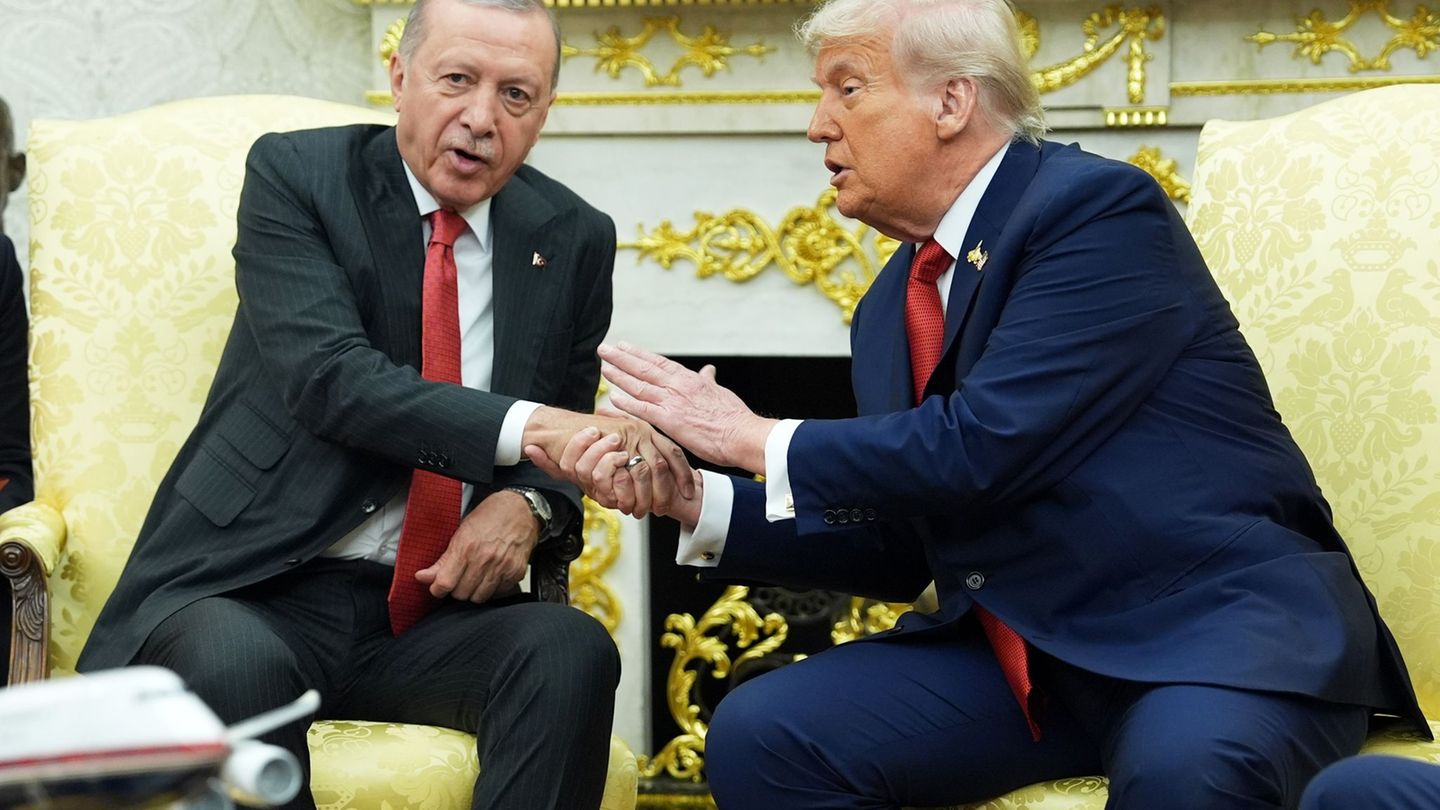 Es ist der erste Besuch für Erdogan im Weißen Haus seit 2019 Foto: Evan Vucci/AP/dpa
