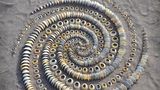 Keine Muscheln, sondern Napfschneckenhäuser: 2020 baute Land Artist Jon Foreman diese spiralförmige Skulptur im Sand. "Mich reizt die Arbeit mit neuen Materialien, wie sie sich verhalten", sagt der Künstler