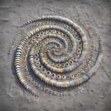 Keine Muscheln, sondern Napfschneckenhäuser: 2020 baute Land Artist Jon Foreman diese spiralförmige Skulptur im Sand. "Mich reizt die Arbeit mit neuen Materialien, wie sie sich verhalten", sagt der Künstler