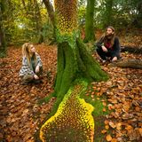 Im Herbst zieht es Jon Foreman in die Wälder von Pembrokeshire, wo er aus buntem Herbstlaub und Lehm Fantasiewelten kreiert – hier in Zusammenarbeit mit Land-Artist Layla Parkin
