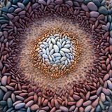 Am Strand Freshwater West in Pembrokeshire ließen sich Jon Foreman und Layla Parkin im April von den bunten Kieseln zu dieser komplexen Installation inspirieren. Sie hätten daran gearbeitet, bis es fast dunkel wurde, berichtet Foreman 