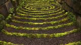 in einem Wald in Lancashire trafen sich die Land-Art-Künstler Jon Foreman, Layla Parkin und Mark Ford und kreierten zwischen den Mauern eines ehemaligen Steinbruchs aus Moos und Erde eine Treppe wie aus "Alice im Wunderland"