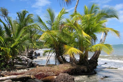 Die zunächst als Deutsche identifizierten Opfer wurden auf einem Finca-Grundstück in Costa Rica vergraben gefunden