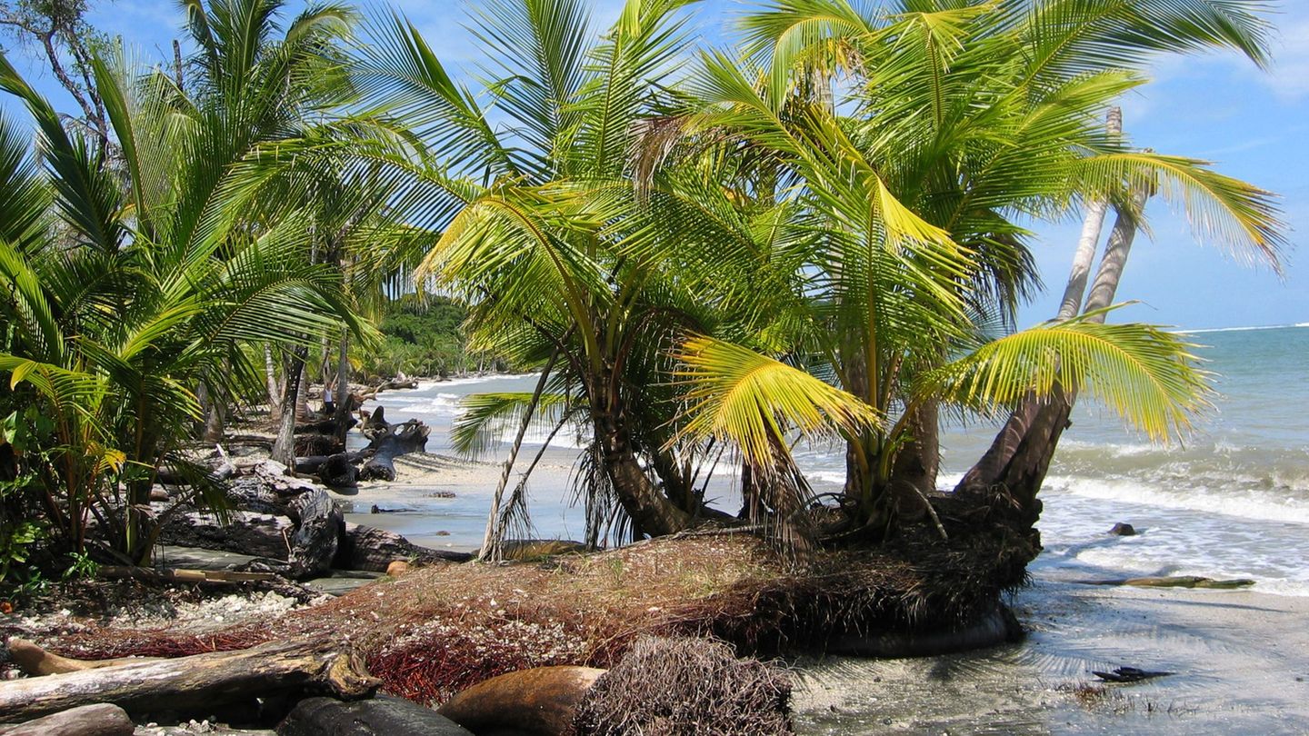 Die zunächst als Deutsche identifizierten Opfer wurden auf einem Finca-Grundstück in Costa Rica vergraben gefunden