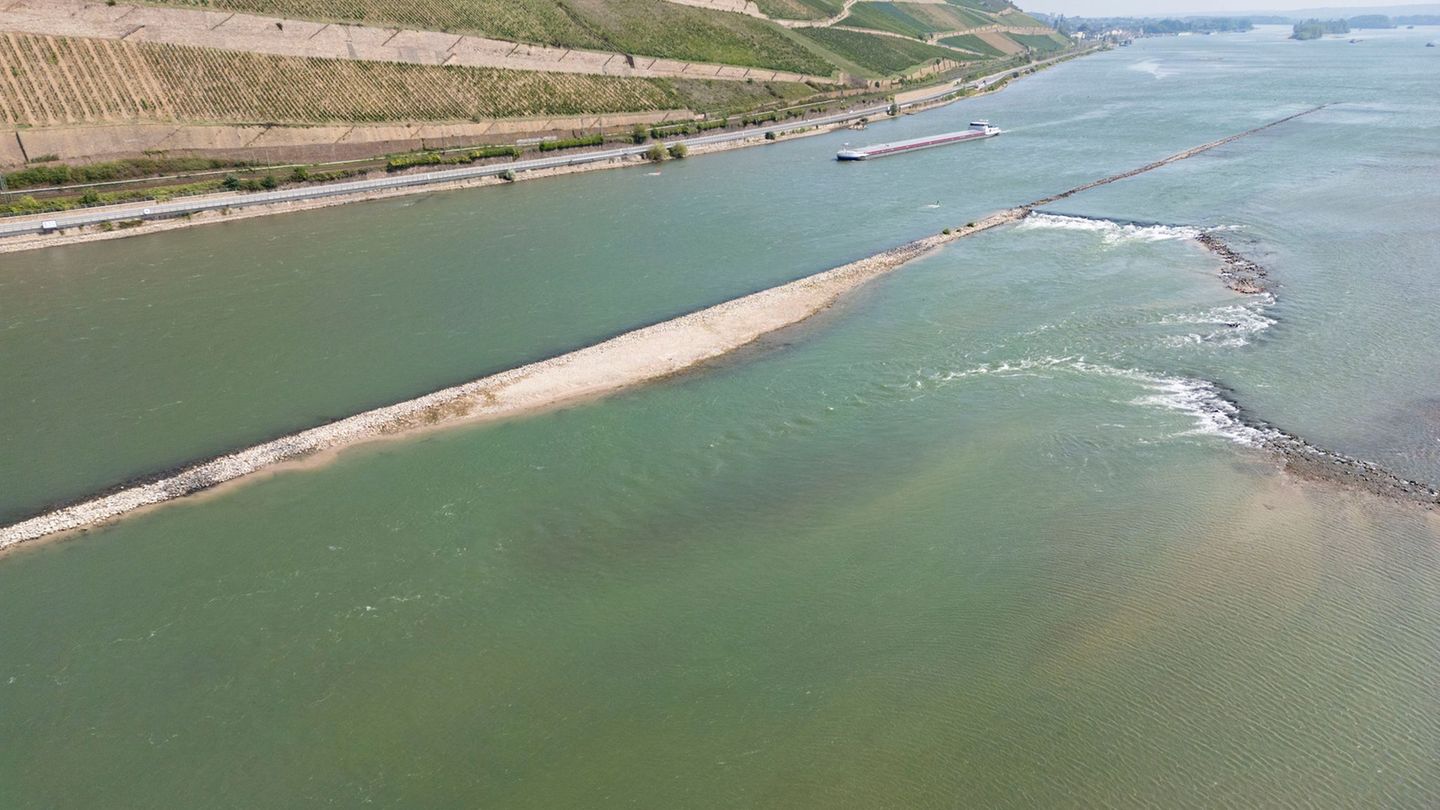 Auf dem Rhein sind zahlreiche Binnenschiffe unterwegs. (Archivbild) Foto: Boris Roessler/dpa