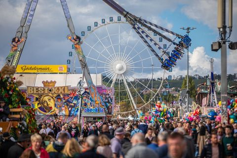 Auf dem Cannstatter Volksfest geht es von Freitag an wieder rund. (Archivbild) Foto: Christoph Schmidt/dpa