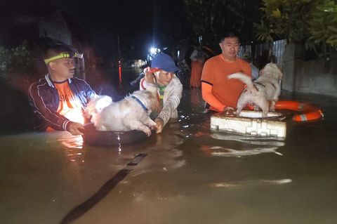 Zunächst hatte der Super-Taifun "Ragasa" auf den Philippinen gewütet, nun ist "Bualoi" auf Land getroffen. Foto: Uncredited/Phil