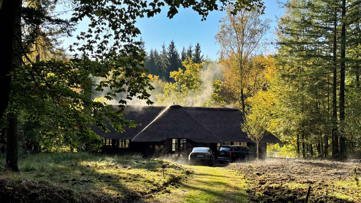 Die Kommunalisierung des Sachsenwaldes könnte für umliegenden Gemeinden mit hohen Kosten verbunden sein. (Symbolbild) Foto: Ulri