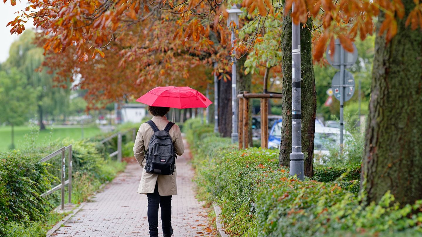 Auch am Freitag bleibt der Regenschirm im Südwesten ein wichtiges Accessoire. (Archivbild) Foto: Uwe Anspach/dpa
