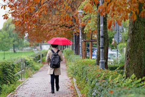 Auch am Freitag bleibt der Regenschirm im Südwesten ein wichtiges Accessoire. (Archivbild) Foto: Uwe Anspach/dpa