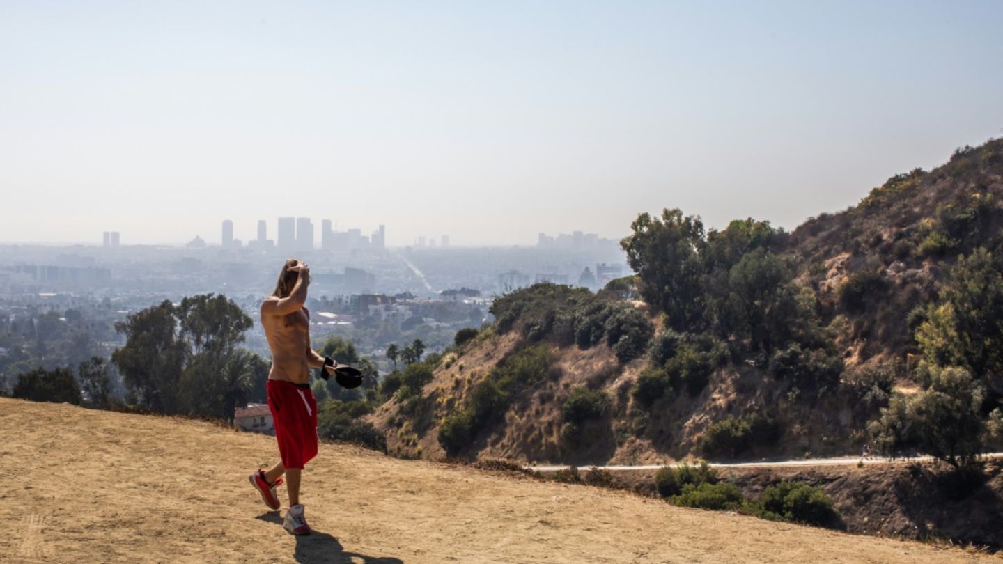 Runyon Canyon im Herzen von Hollywood