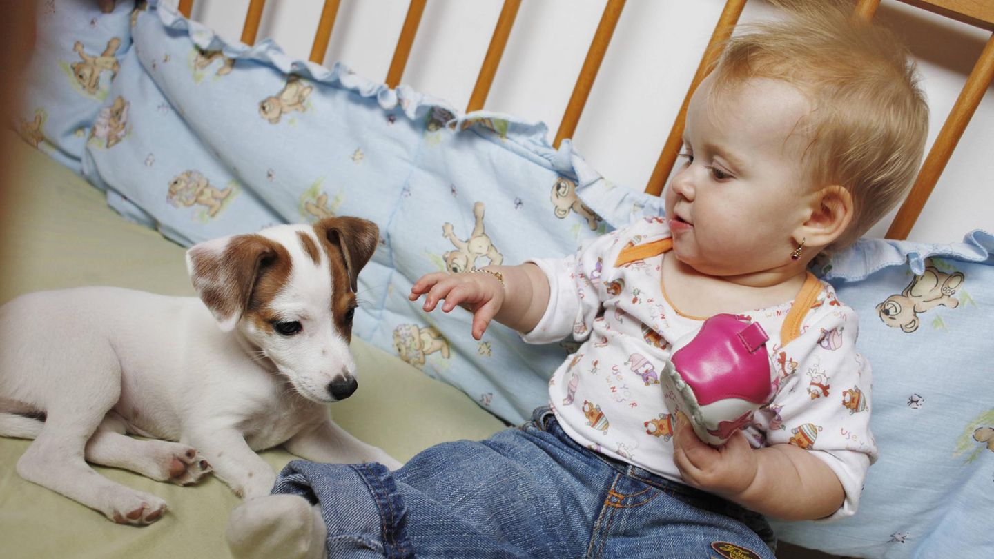 Ein Hund zusammen mit einem Baby