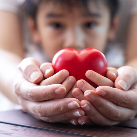 Organspende Erwachsener und Kind halten ein Herz aus Holz Organspende Erwachsener und Kind halten ein Herz aus Holz