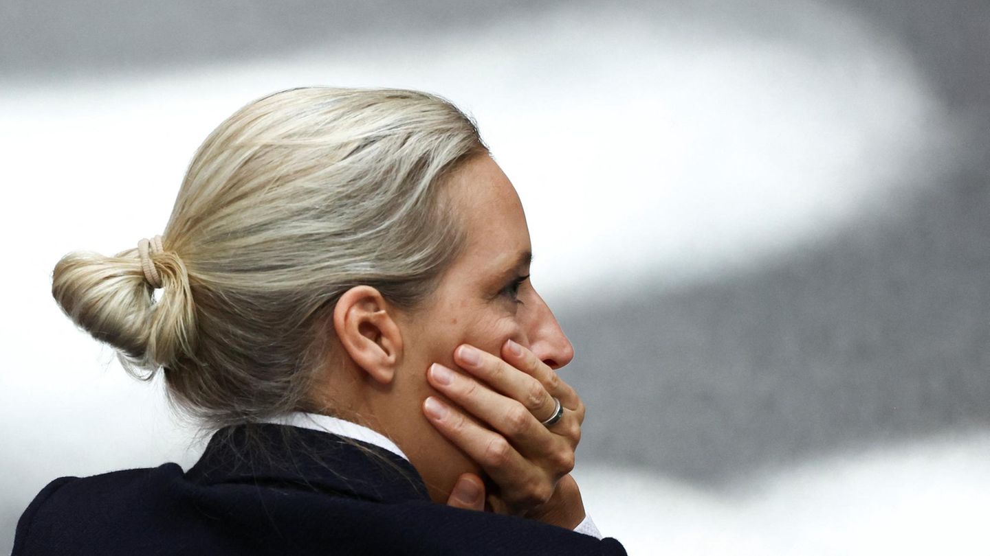 Auf Immobiliensuche: Die AfD-Vorsitzende Alice Weidel