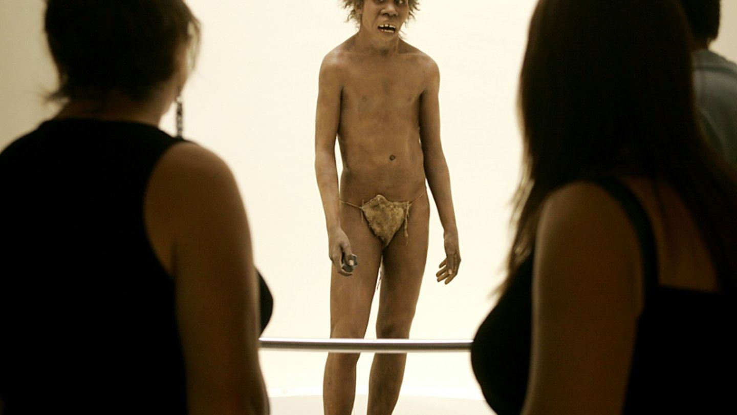 Rekonstruktion des Homo Erectus
