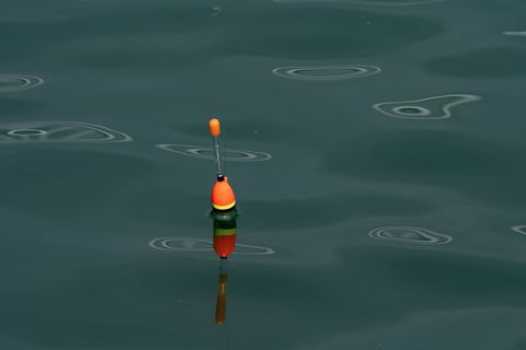 Auf der Mecklenburgischen Seenplatte ist am Mittwochnachmittag ein Boot mit zwei Männern an Bord gekentert. (Symbolbild) Foto: S