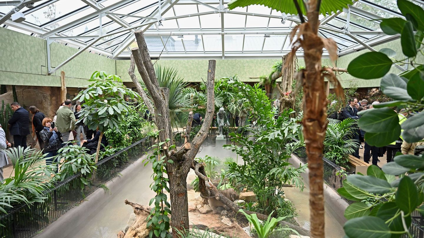 Nach umfangreicher Sanierung öffnet das Terrarium im Leipziger Zoo wieder für Gäste. Foto: Jennifer Brückner/dpa